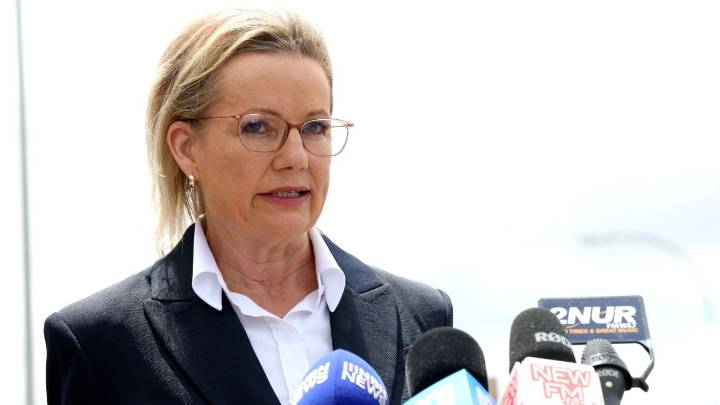 Coalition support hits new record low under Sussan Ley as One Nation climbs to new high, independents surge