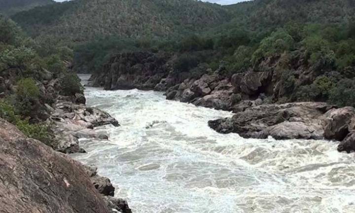 SC rejects Tamil Nadu's plea against construction of Mekedatu Balancing Reservoir project