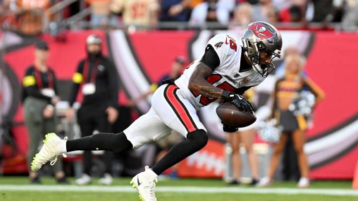 Fantasy Football Waiver Wire Week 11: Tez Johnson and Parker Washington cash in