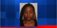 Woman charged with murder, assault of 7
