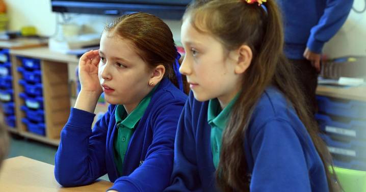 The schools with highest attendance rates in Wales: What you need to know