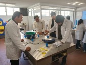 Realiza la UAM Mante taller de encapsulación de compuestos bioactivos en congreso universitario 2025