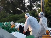 Agroquímicos: los alcances de la ordenanza