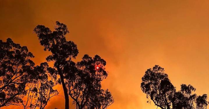 Dry soils spark urgent bushfire warning