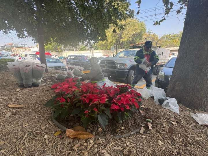 Prepara Monterrey festival navideño con actividades para todos