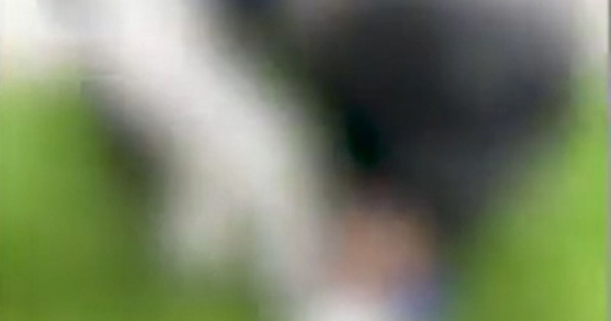 Leeds mum's horror over video showing daughter being punched and kicked by vicious mob as others laugh