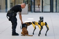 These robot dogs are becoming standard on police forces — leading to concerns – The Virginian