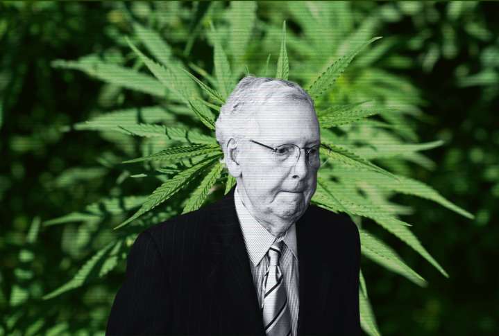 Why Mitch McConnell helped kill the hemp buzz