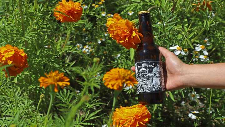 Cerveza artesanal de cempasúchil rinde homenaje al Día de Muertos en Puebla