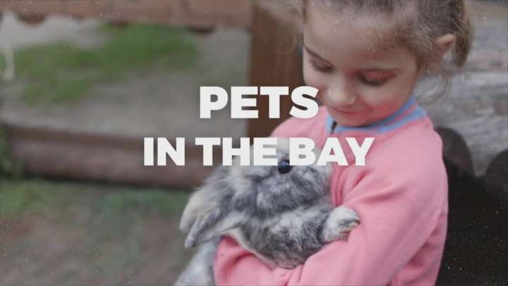 One year, countless lives saved at Pets In Need