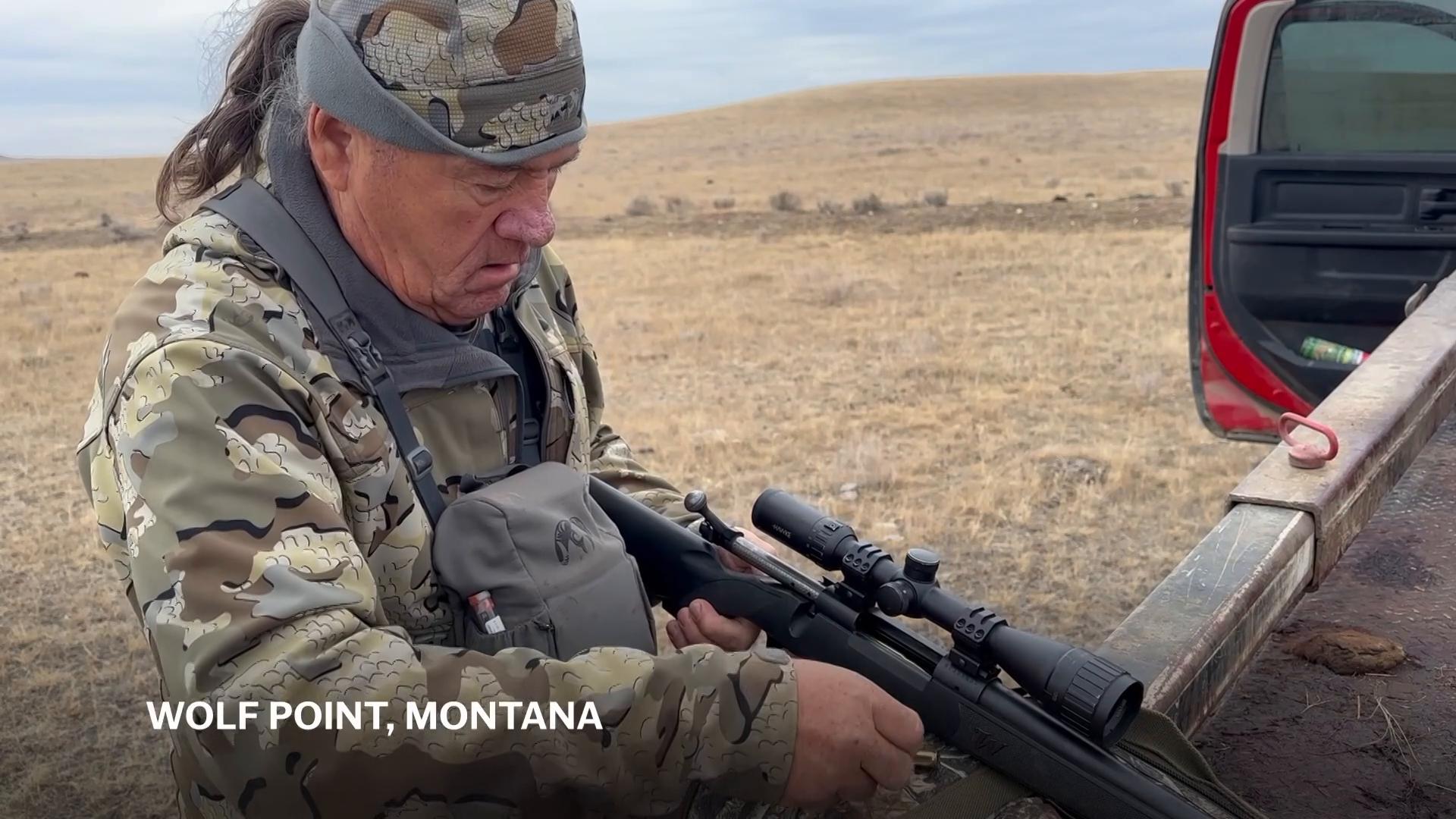 Tribes that restored buffalo are killing some to feed people because of the shutdown