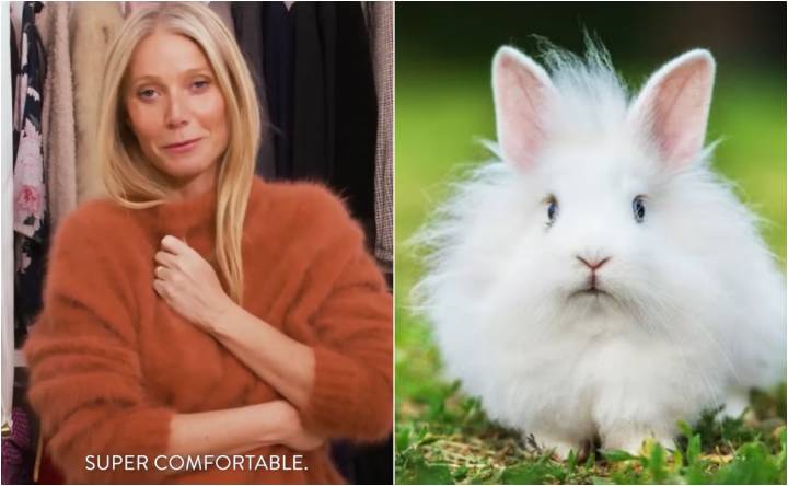 Gwyneth Paltrow retira productos de angora de Goop tras reclamos de defensores de animales