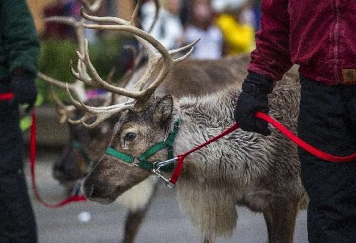 Christmas in Kochville 2025: Free family event features Santa, reindeer, fireworks