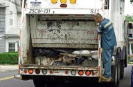 Will there be trash collection on Veterans Day 2025?