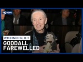 Conservationist Jane Goodall Honoured At Washington Funeral By Friends And Family