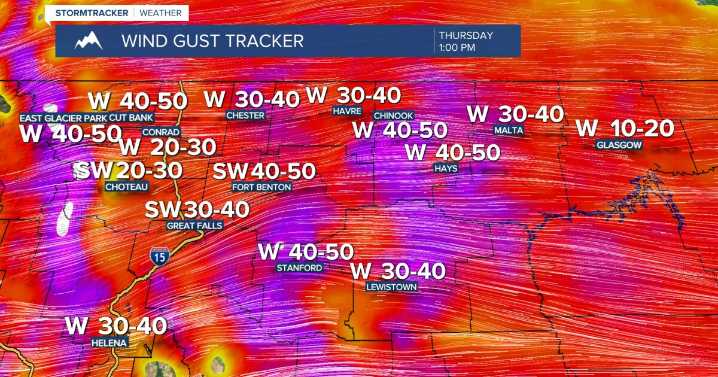 Trending News (Thursday, November 6, 2025)