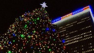 When does the city's Christmas tree arrive downtown?
