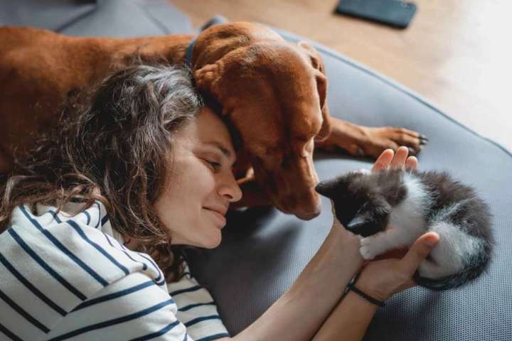 Razones por las que tu mascota te hace feliz y te da paz mental