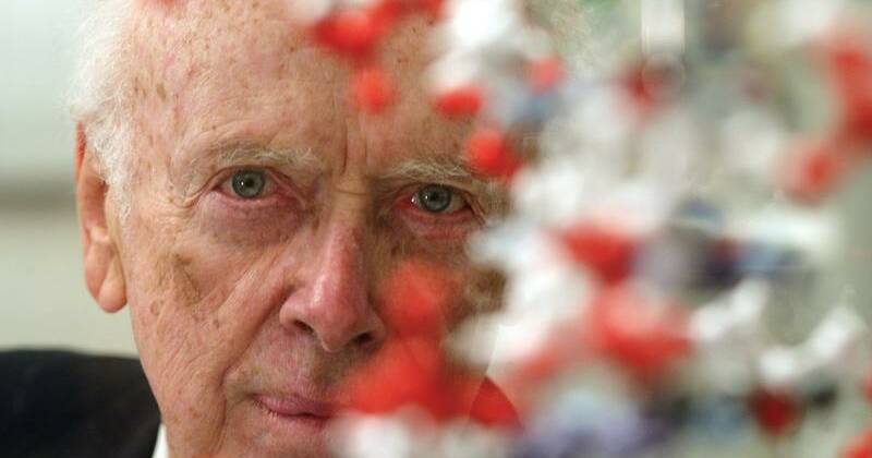 Breakthrough DNA scientist was panned for racial remark