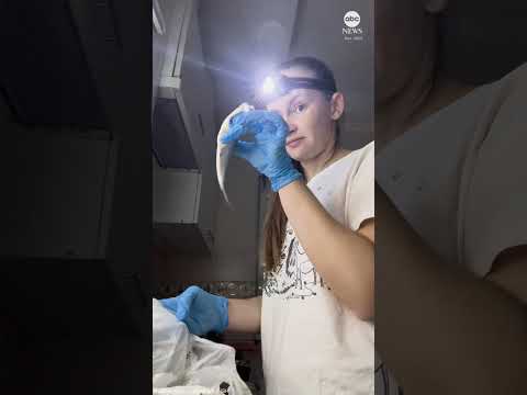 Amid war, Ukraine's civilians live everyday life with blackouts