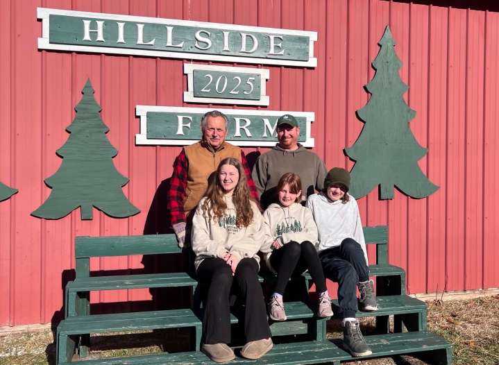 CuriosiD: From seed to star, a Christmas tradition takes root