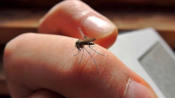 Santa Fe amplía la vacunación contra el dengue: a quiénes alcanza la nueva etapa