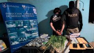 Desarticularon un punto de venta de drogas en Sumampa: un detenido y un importante secuestro de marihuana
