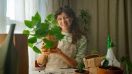 The Best Place To Put Pothos Plants To Keep Them Lush & Thriving For Years