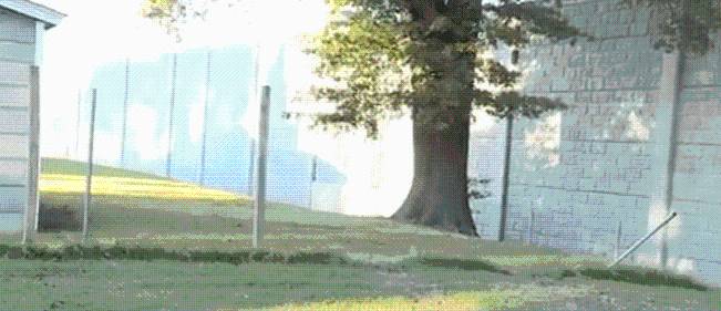 Task force chase goes through yards in French Fort area