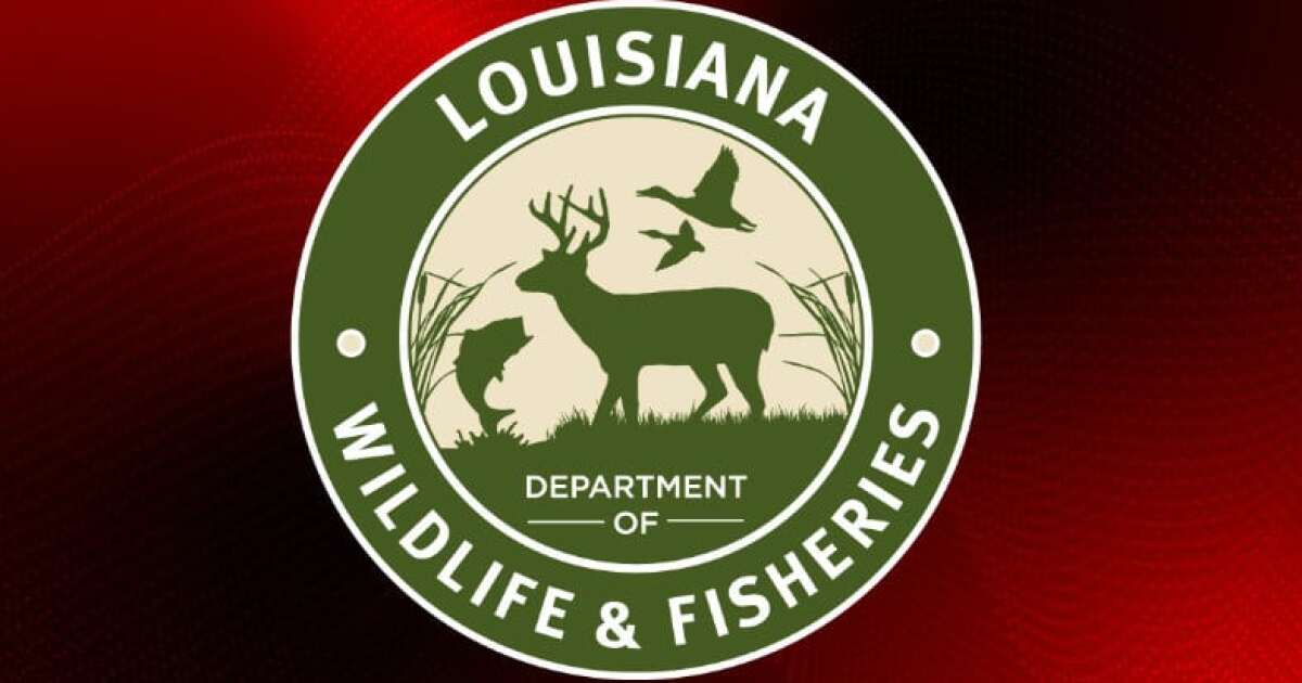 LWF Commission amends commercial menhaden buffer zones off Louisiana Coast