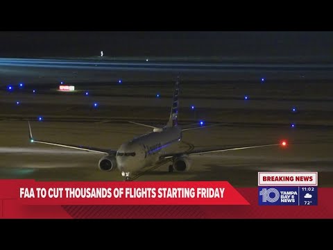 'A nightmare': Aviation expert breaks down impact of flight cuts amid government shutdown