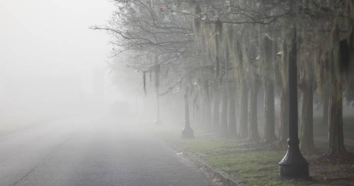 Dense fog hits south Louisiana, including some super fog