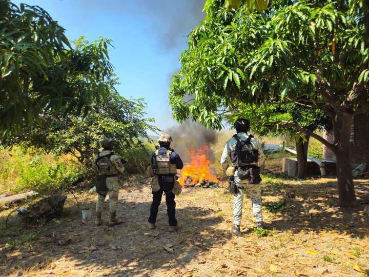 Destruyen cuatro campamentos del crimen