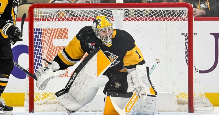 Penguins call up goaltender Sergei Murashov from the minors