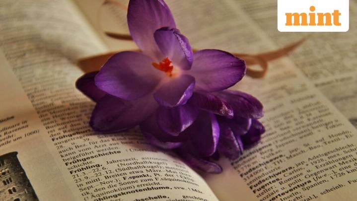 Parasocial is Cambridge Dictionary's 2025 Word of the Year