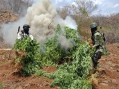 México intensifica la guerra contra las drogas y las armas