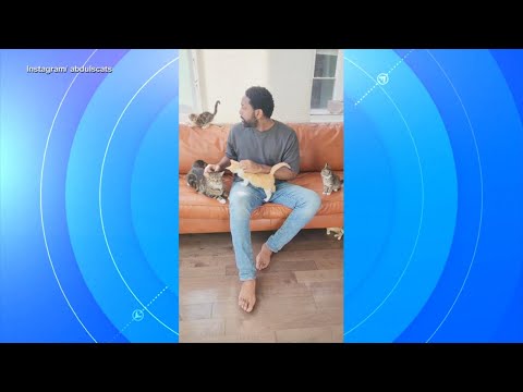 Man fosters hundreds of cats and helps over 300 get adopted