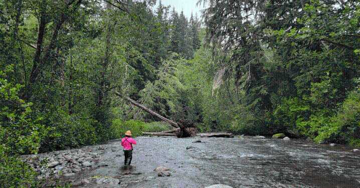 Building on a Legacy of Learning: Relicensing the South Fork Tolt Hydroelectric Project