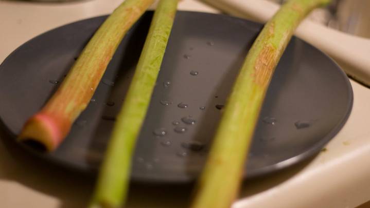 Mennonite Man Impresses Woman With His Ability to Consume Raw Rhubarb
