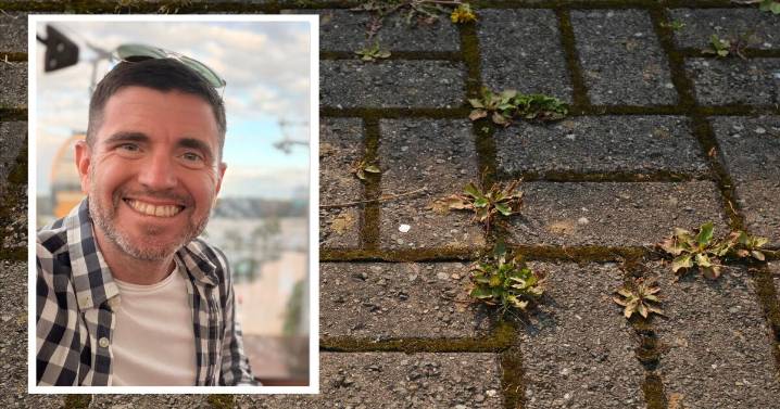 I keep weeds off my drive with 1 simple method