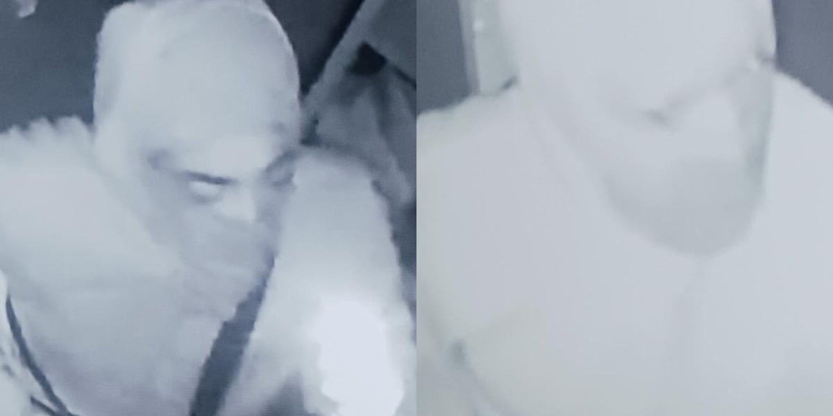 Hampton Police ask for help in Piggly Wiggly burglary investigation