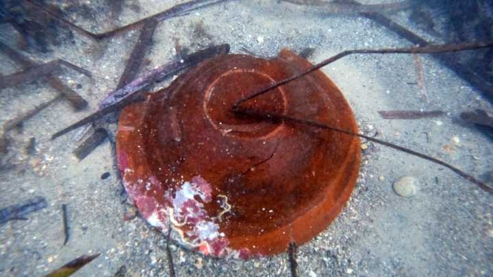 Así es el nuevo yacimiento arqueológico subacuático del pueblo con casas de colores de Alicante