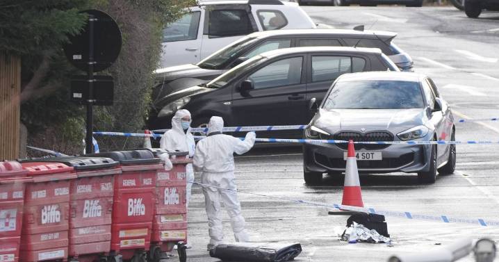 Dad's heroic act to stop train stabbings suspect seconds before police swoop in