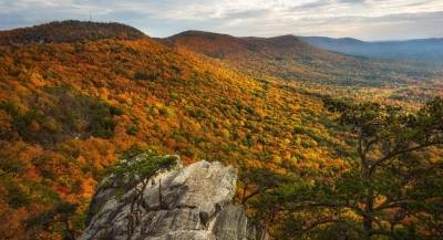 State Sen. Randy Price highlights early 2026 opening of Cheaha State Park Hotel and Meeting Center