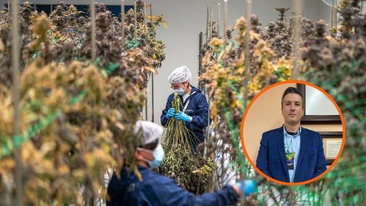 Educar, regular y abrir espacios: el reto de Coahuila frente al consumo de cannabis