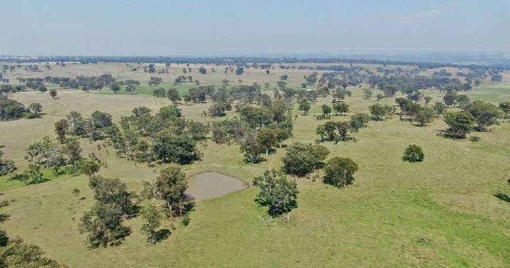 Berrilee: 974 acres of prime farmland on the Northern Tablelands