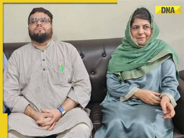 By-election Results 2025: PDP's Aga Syed Muntazir wins Budgam, beats ruling NC