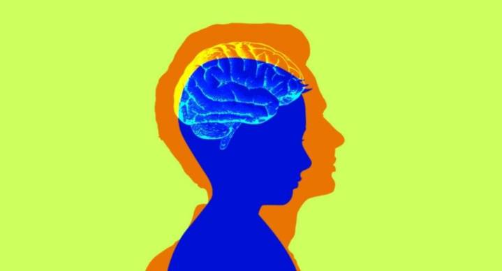 Un estudio revela a que edad finaliza la adolescencia cerebral