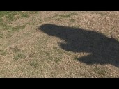 South Carolina Afghan woman shares grief and fear after DC shooting