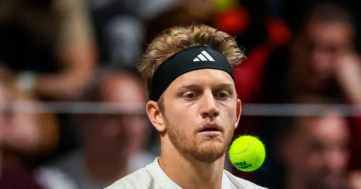 David Ferrer confirma el descarte de Alejandro Davidovich, 14 del mundo, para las finales de la Copa Davis